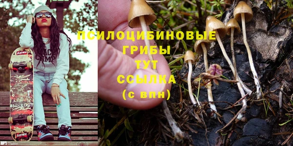 ПСИЛОЦИБИНОВЫЕ ГРИБЫ Алексеевка