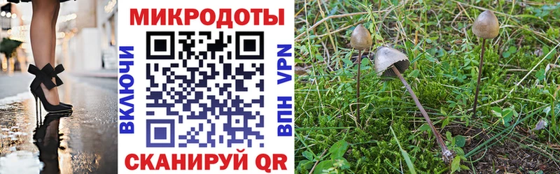 Галлюциногенные грибы GOLDEN TEACHER где найти Черепаново