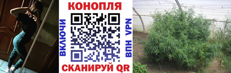 Шишки марихуана MAZAR Черепаново